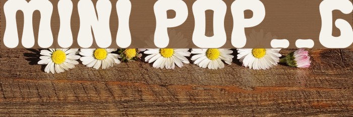 MINI POP__G フォント examples