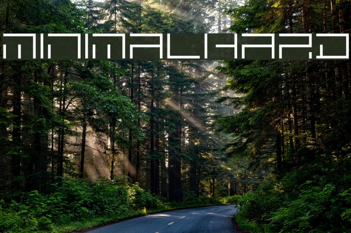 MINIMALHARD Font examples