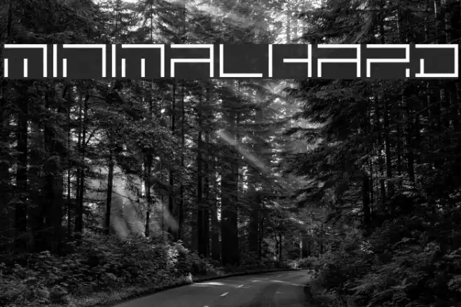 MINIMALHARD Example 1