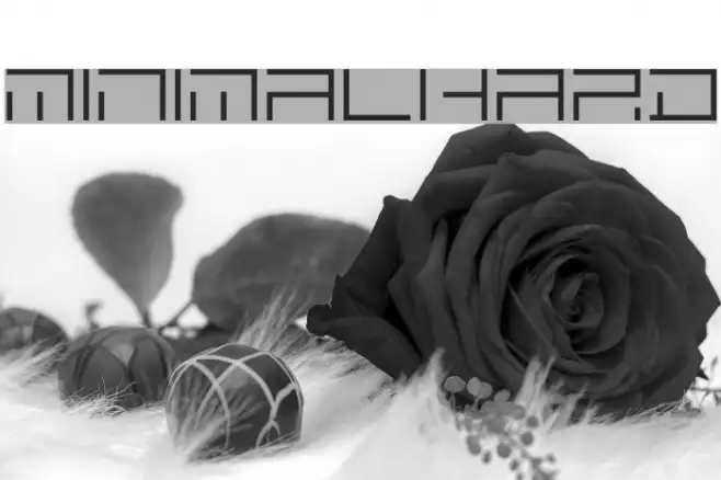 MINIMALHARD Example 3