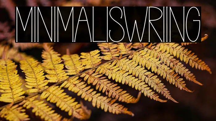 MINIMALIST WRITING Example 3