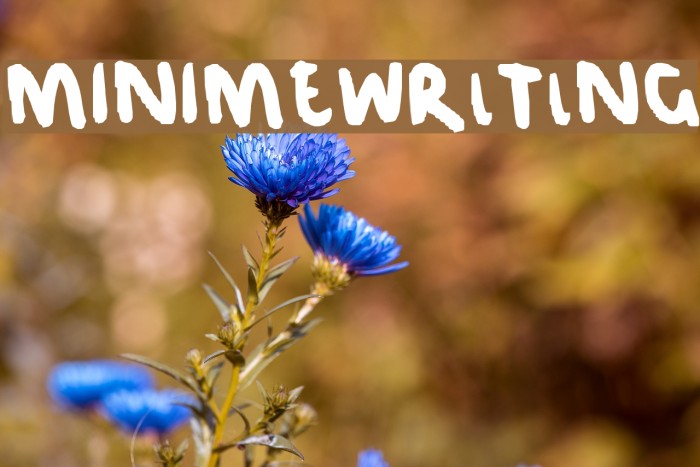 MINIMEWRlTlNG Font examples