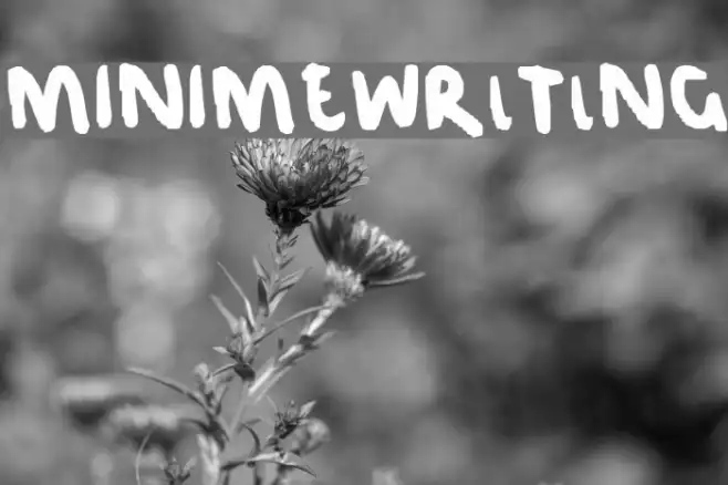MINIMEWRlTlNG Example 1