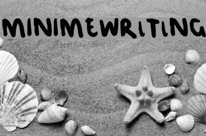 MINIMEWRlTlNG Example 2