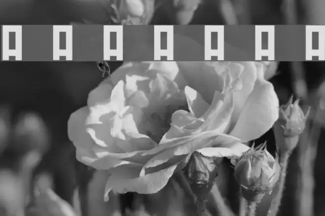 MINIRUS Font examples