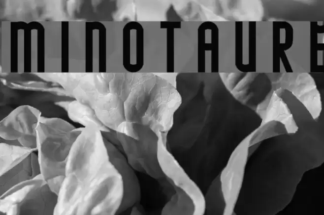 MINOTAURE Font examples