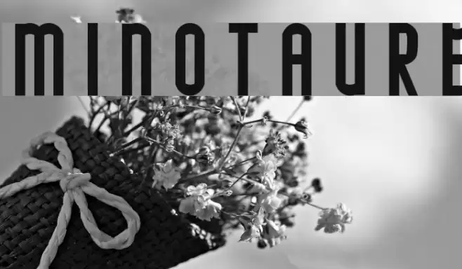 MINOTAURE Font examples