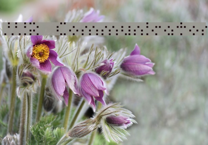 MIR  Communicator Example 2