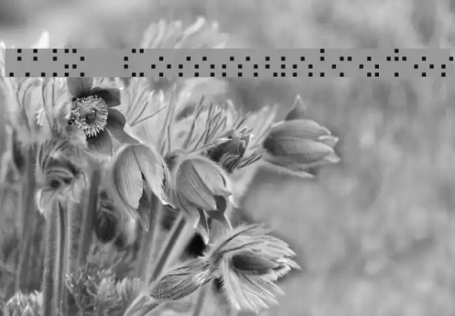 MIR  Communicator Font examples