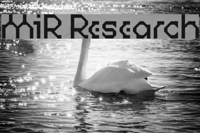 MIR Research Example 3