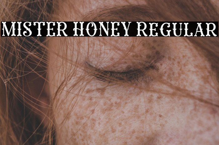 MISTER HONEY Regular Example 1