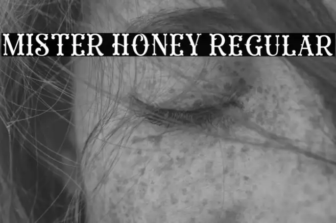 MISTER HONEY Regular Example 1