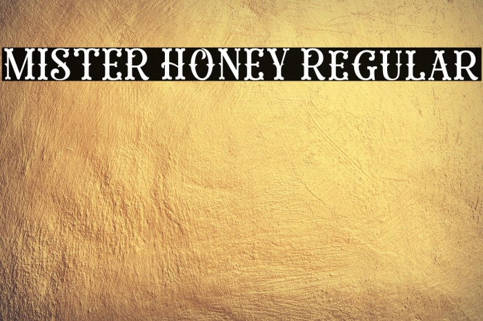 MISTER HONEY Regular Example 3
