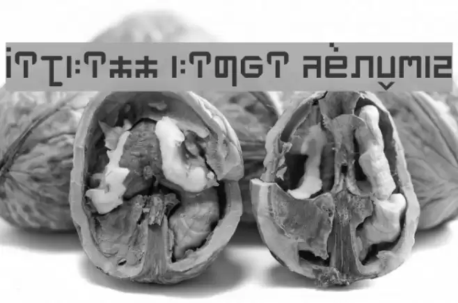 MITHILL HINDI Regular Schriftart examples