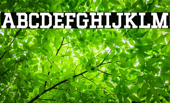 MIXIVA-DUSTY demo Font examples