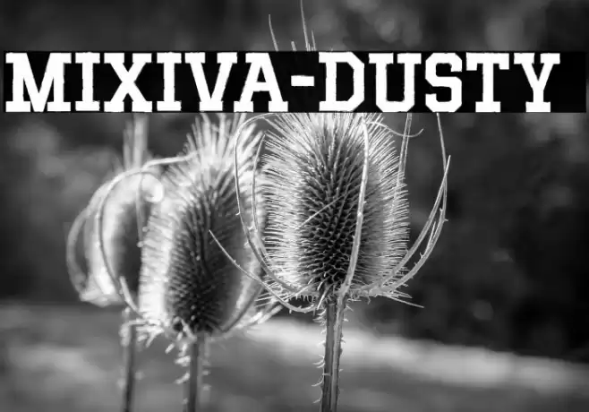 MIXIVA-DUSTY demo Font examples