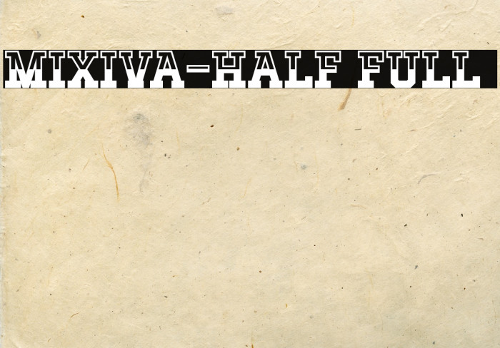 MIXIVA-HALF FULL demo Example 2