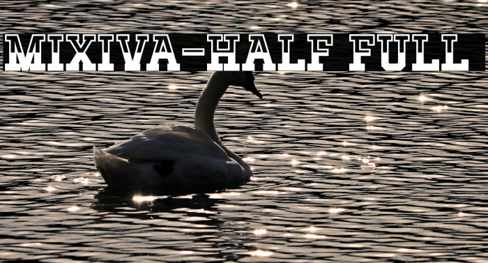 MIXIVA-HALF FULL demo Example 3