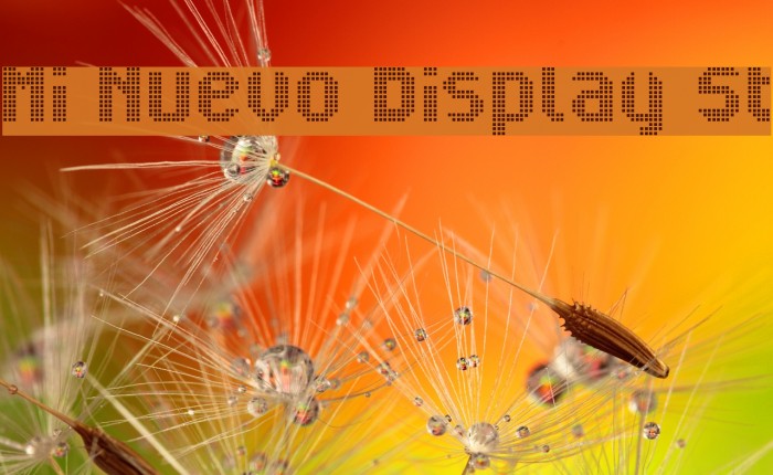 Mi Nuevo Display St フォント examples