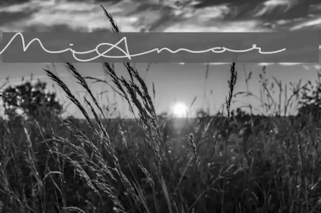 MiAmor Font examples