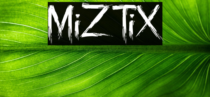 MiZTiX Example 3