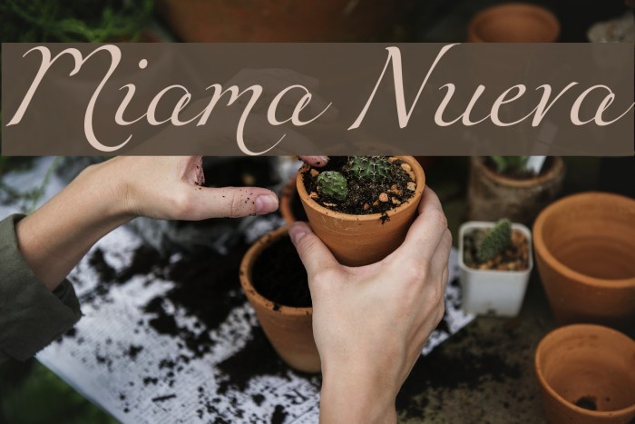 Miama Nueva Font examples