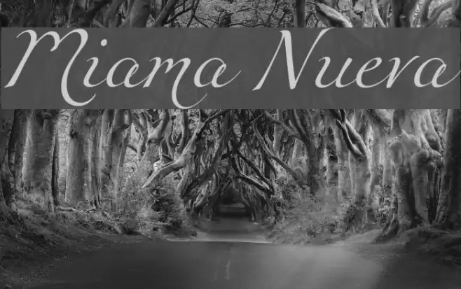 Miama Nueva Font examples