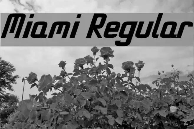 Miami Regular Font examples