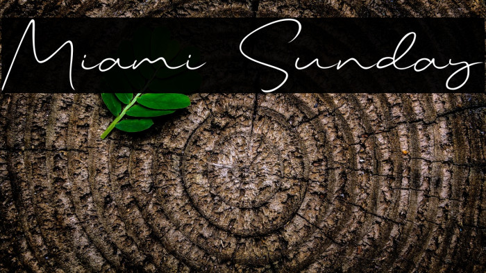 Miami Sunday Example 3