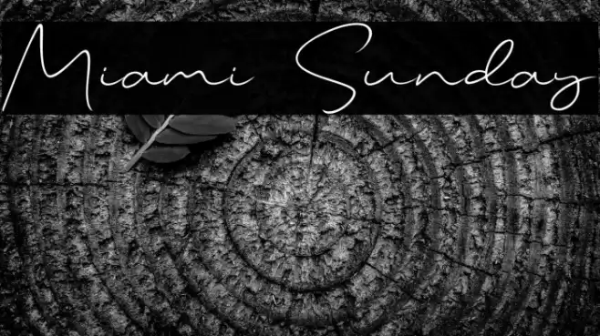 Miami Sunday Font examples