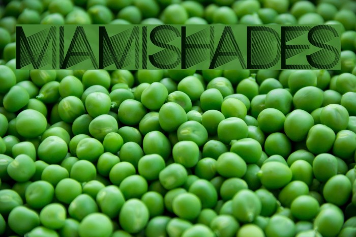 MiamiShades Font examples