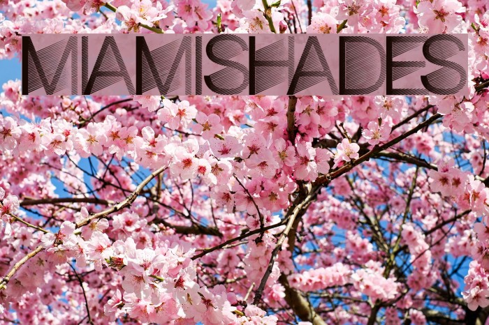 MiamiShades Font examples
