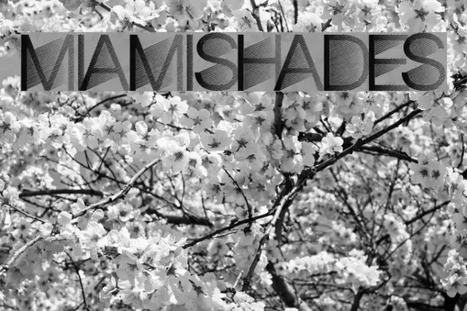 MiamiShades Example 3