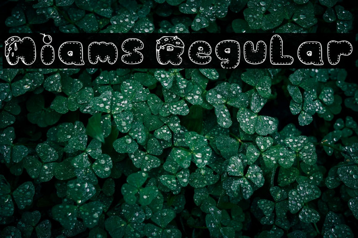 Miams Regular Example 2