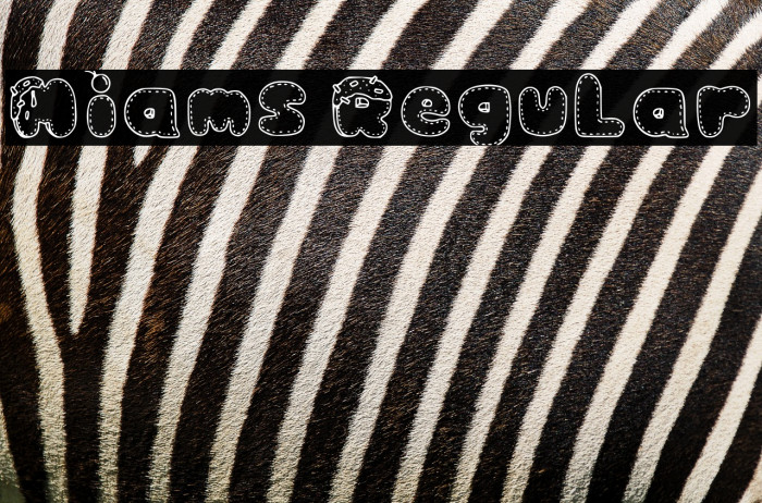 Miams Regular Example 3