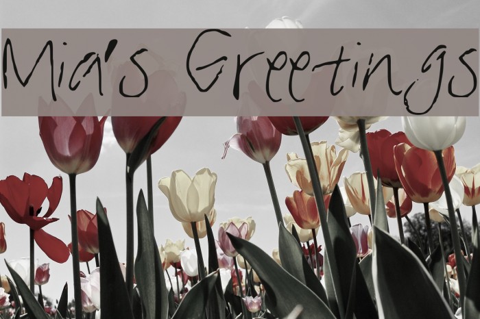 Mia's Greetings Font examples