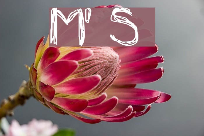 Mia's Scribblings ~ Example 3