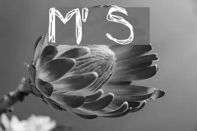 Mia's Scribblings ~ Font examples