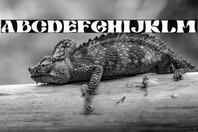 Mibaguy Font examples