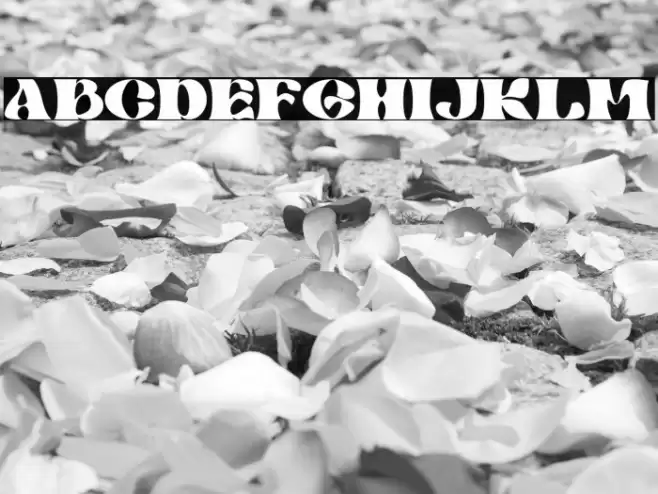 Mibaguy Font examples