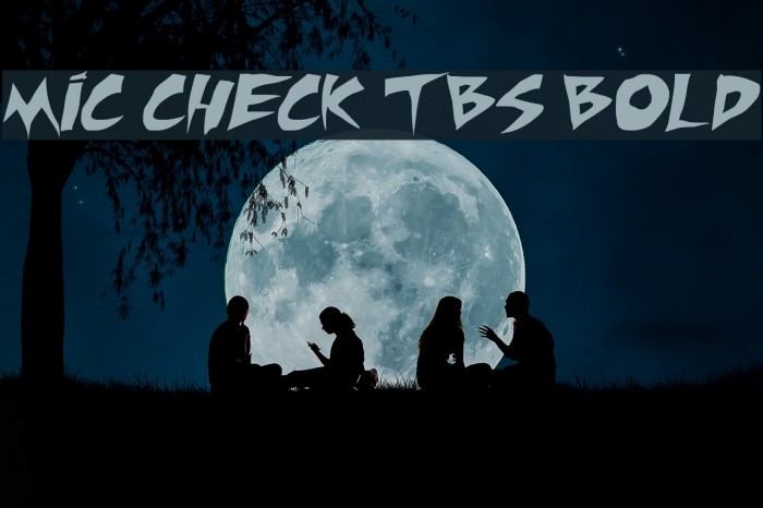 Mic Check TBS Bold Font examples