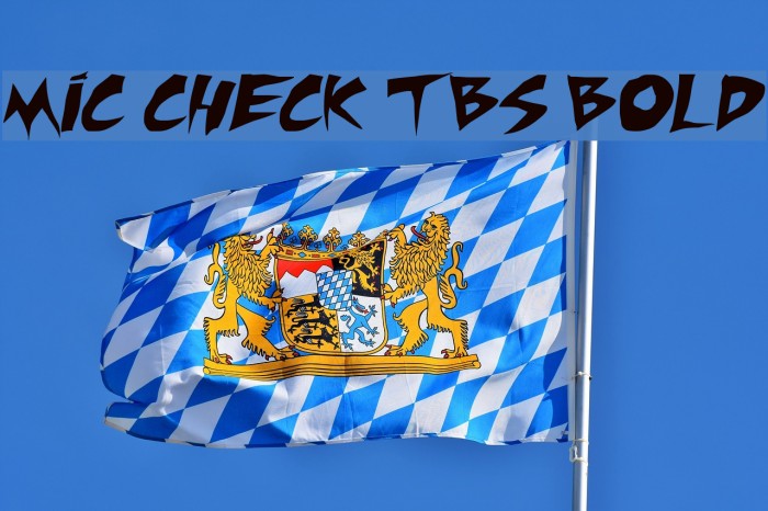 Mic Check TBS Bold Font examples