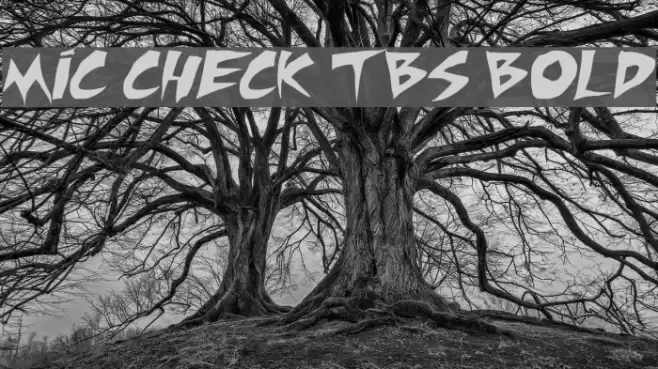 Mic Check TBS Bold Font examples