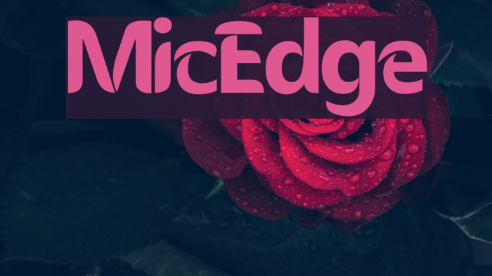 MicEdge Font examples