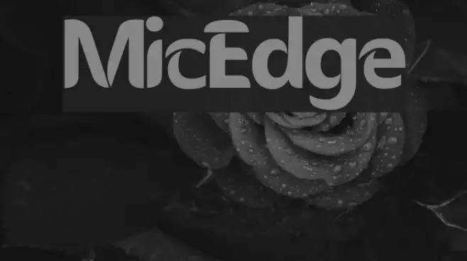 MicEdge Example 1