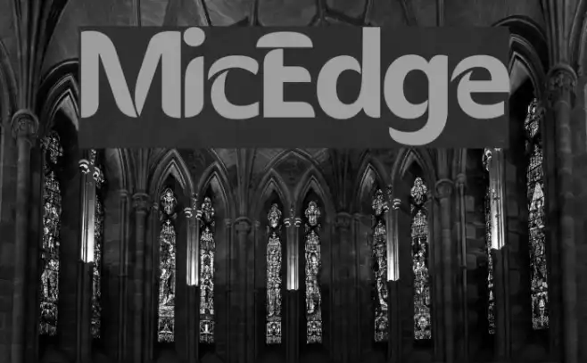 MicEdge Example 3