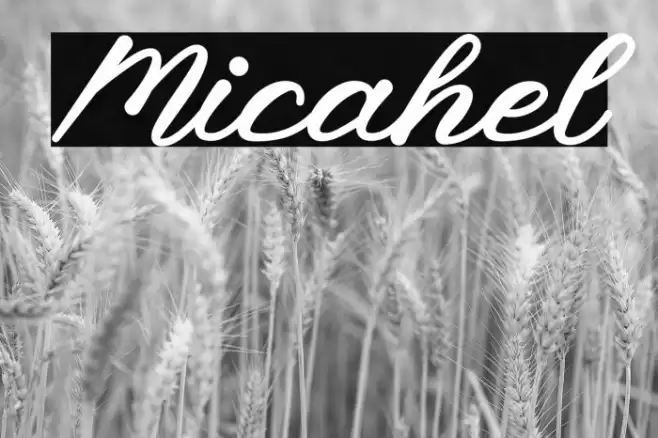 Micahel Font examples