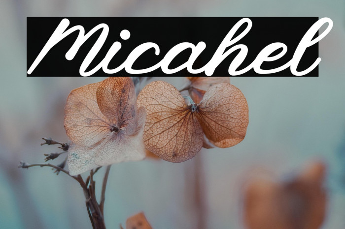 Micahel Example 3