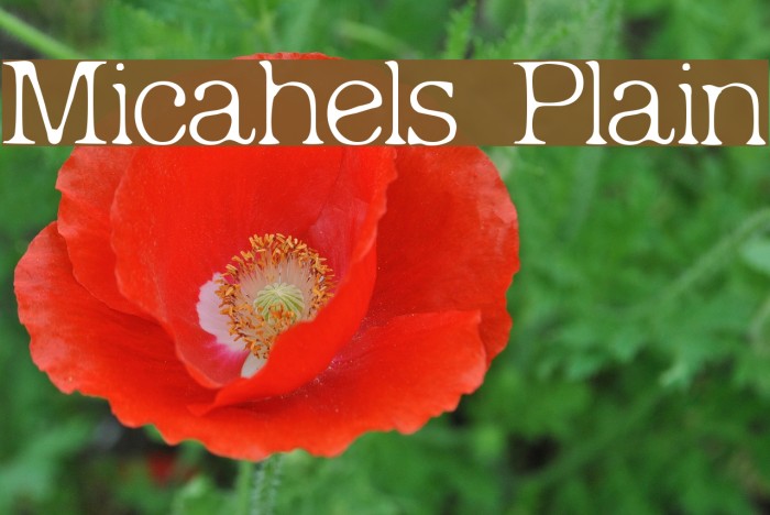 Micahels Plain Font examples