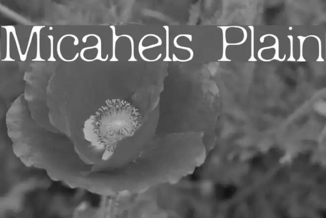 Micahels Plain Font examples